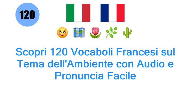 Scopri 120 Vocaboli Francesi sul Tema dellAmbiente con Audio e Pronuncia Facile